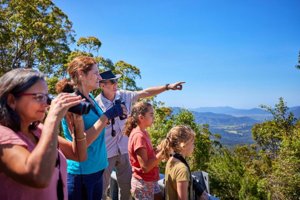 1 from cairns rainforest nocturnal wildlife tour From Cairns: Rainforest & Nocturnal Wildlife Tour