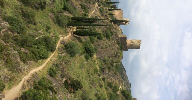 From Carcassonne:Lastours Castles & Carcassonne Guided Tour