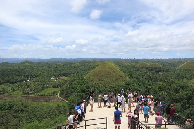 From Cebu: Bohol Countryside Private Tour & Loboc River Cruise