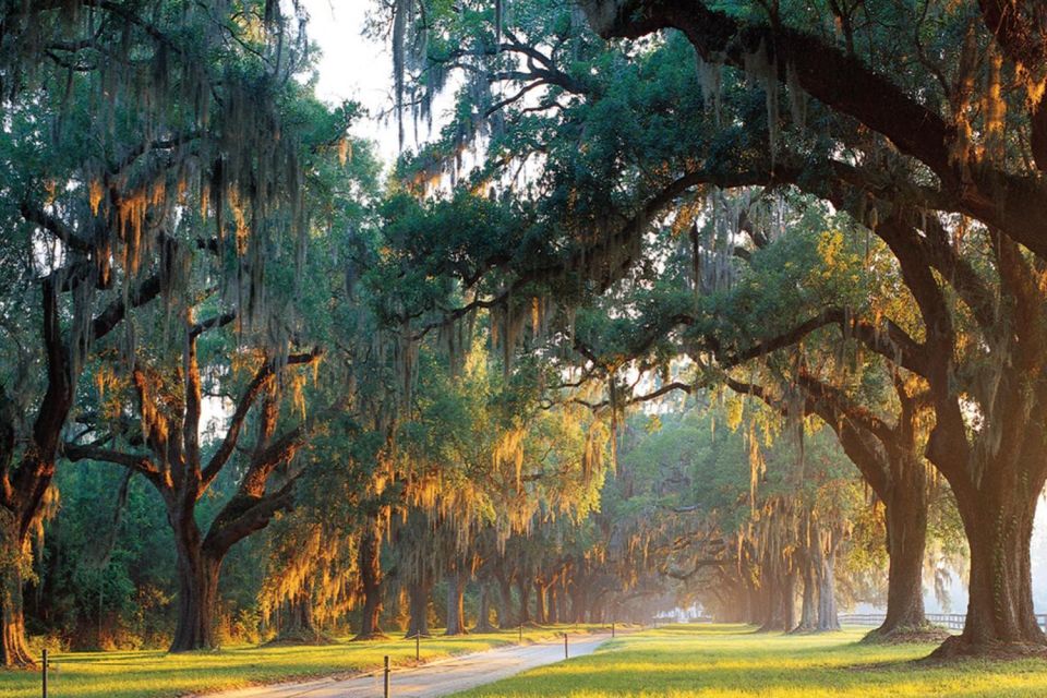 1 from charleston boone hall plantation entry with transfers From Charleston: Boone Hall Plantation Entry With Transfers