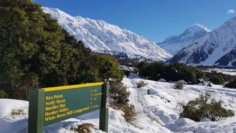 From Christchurch: 1-Way Mount Cook & Lake Tekapo Tour