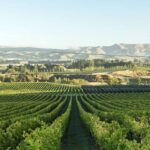 1 from christchurch guided local wine tours in waipara From Christchurch: Guided Local Wine Tours in Waipara
