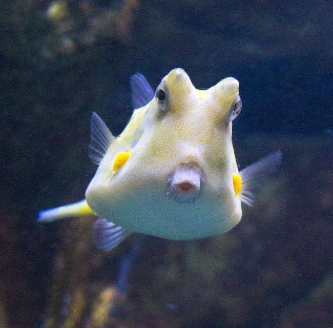 From Costa Brava: Barcelona Day Trip With Aquarium Visit