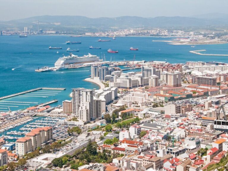 From Costa Del Sol: Gibraltar Dolphin Watching by Boat