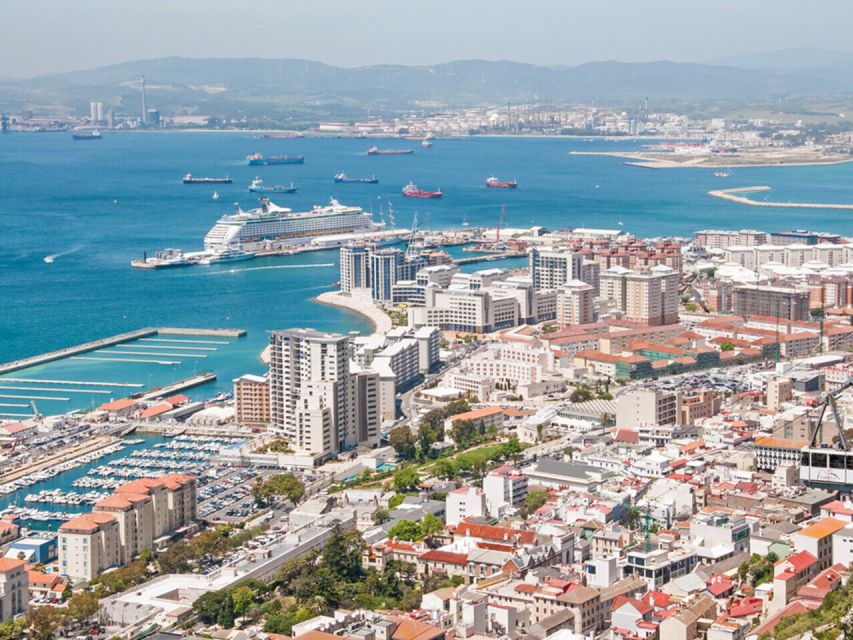 From Costa Del Sol: Gibraltar Dolphin Watching by Boat