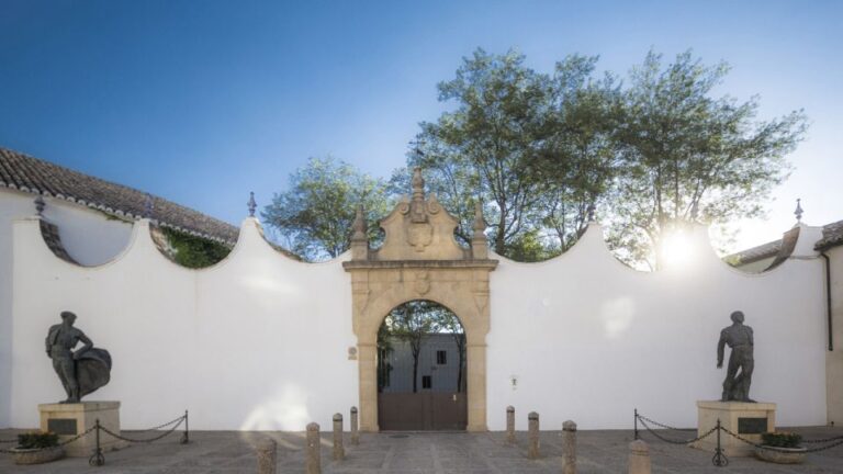 From Costa Del Sol: Ronda Village Tour W/ Maestranza Ticket