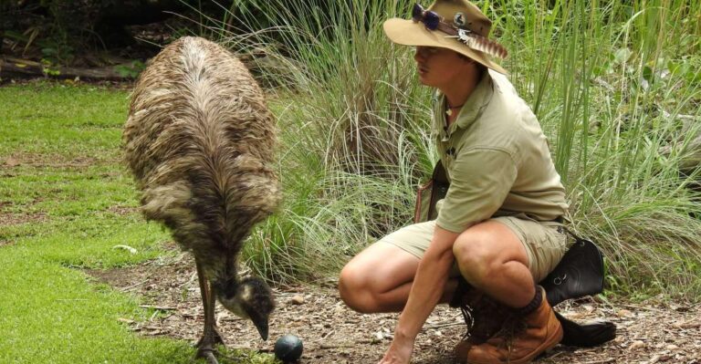 From Darwin: 1 Day Territory Wildlife Park Tour