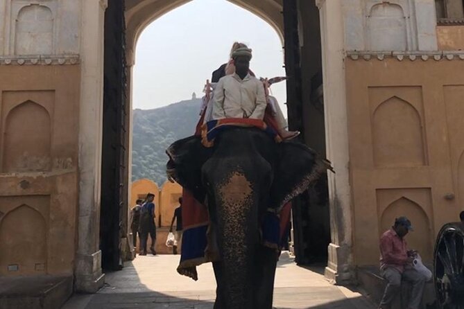 From Delhi: Jaipur City Private Tour – All Inclusive