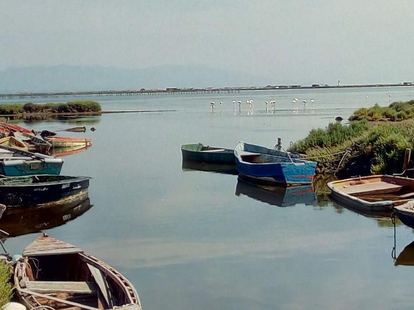 From Deltebre: Ebro Delta National Park Multi-Stop Day Trip