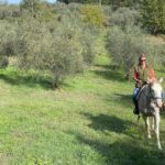 1 from florence horseback ride and olive oil tour with lunch From Florence: Horseback Ride and Olive Oil Tour With Lunch