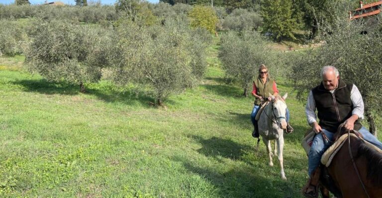 From Florence: Horseback Ride and Olive Oil Tour With Lunch