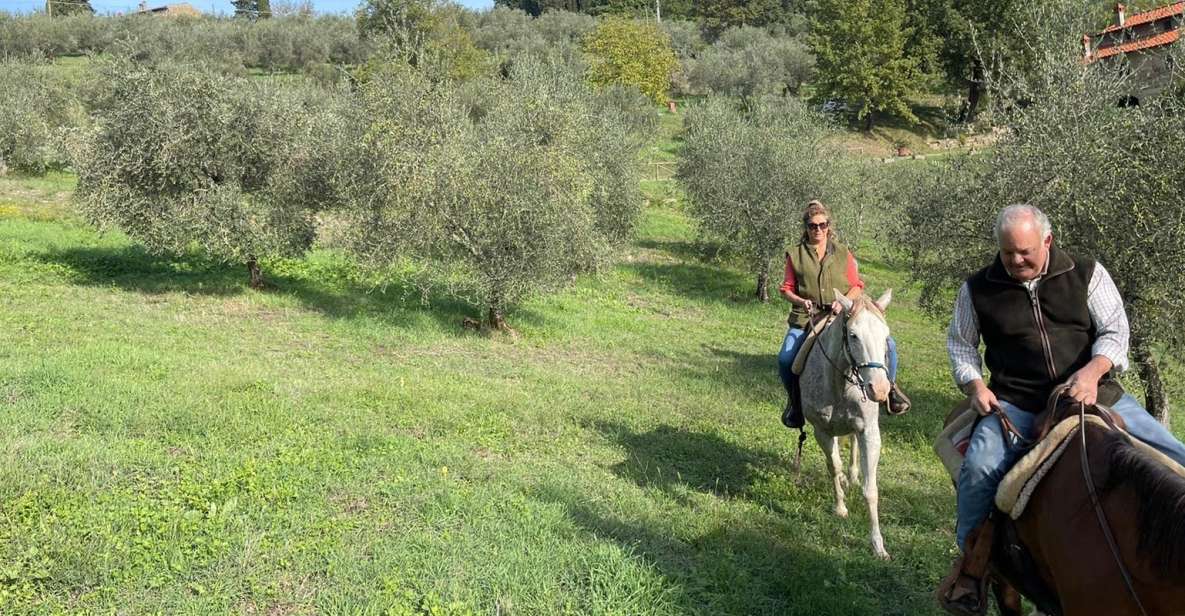 1 from florence horseback ride and olive oil tour with lunch From Florence: Horseback Ride and Olive Oil Tour With Lunch