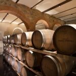 1 from florence private bolgheri wine tour with tasting From Florence PRIVATE: Bolgheri Wine Tour With Tasting