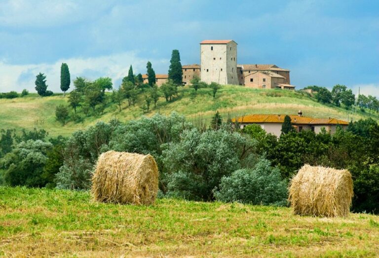 From Florence: Private Wine Tour With Dinner on an Estate