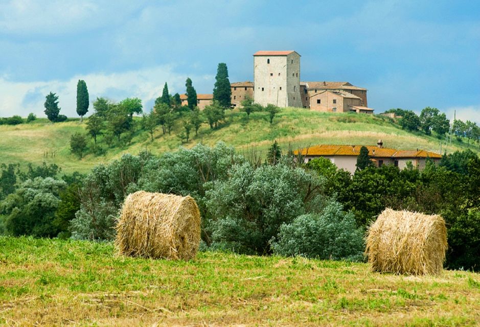 1 from florence private wine tour with dinner on an estate From Florence: Private Wine Tour With Dinner on an Estate