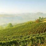 1 from florence val dorcia wine tour with private driver From Florence: Val Dorcia Wine Tour With Private Driver