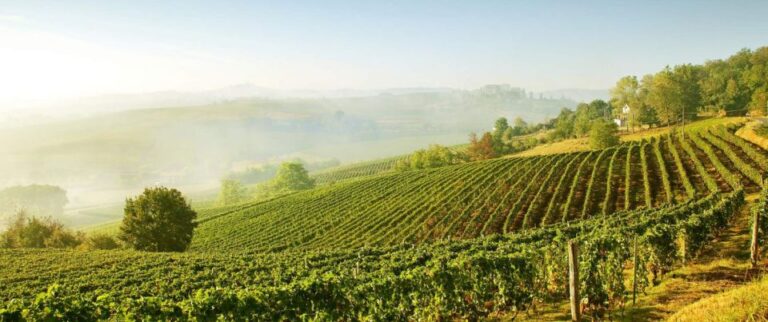 From Florence: Val Dorcia Wine Tour With Private Driver