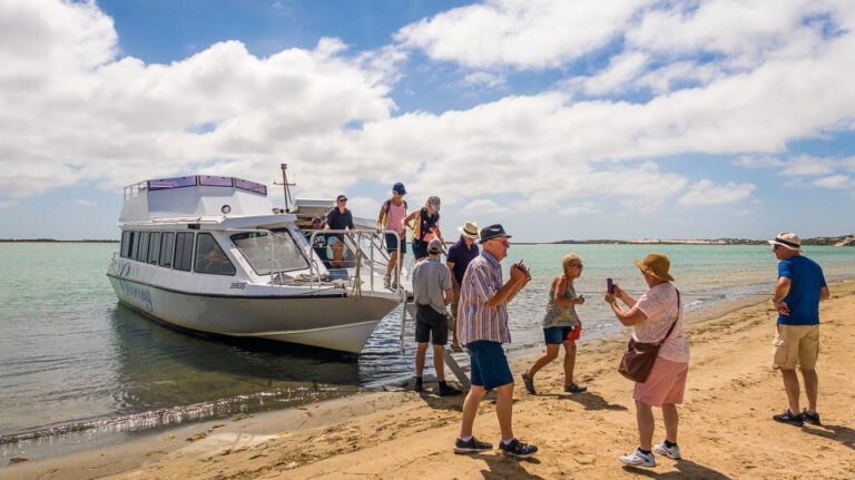 From Goolwa: Half-Day Coorong Experience