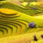 1 from hanoi 2 day sapa town hiking tour homestay with food From Hanoi: 2-Day Sapa Town Hiking Tour & Homestay With Food
