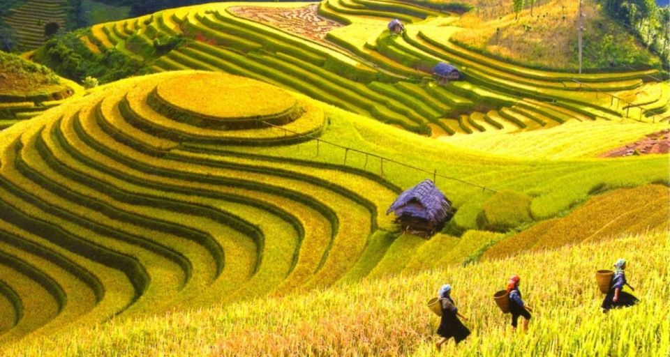 1 from hanoi 2 day sapa town hiking tour homestay with food From Hanoi: 2-Day Sapa Town Hiking Tour & Homestay With Food