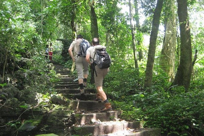 From Hanoi: Cuc Phuong National Park Day Trip by Private Car