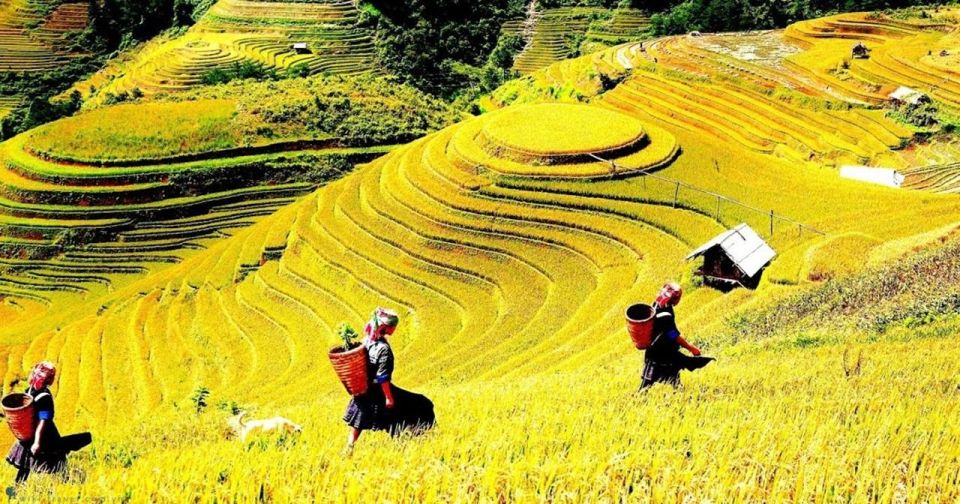 1 from hanoi mai chau with biking to admire rice fields From Hanoi: Mai Chau With Biking To Admire Rice Fields