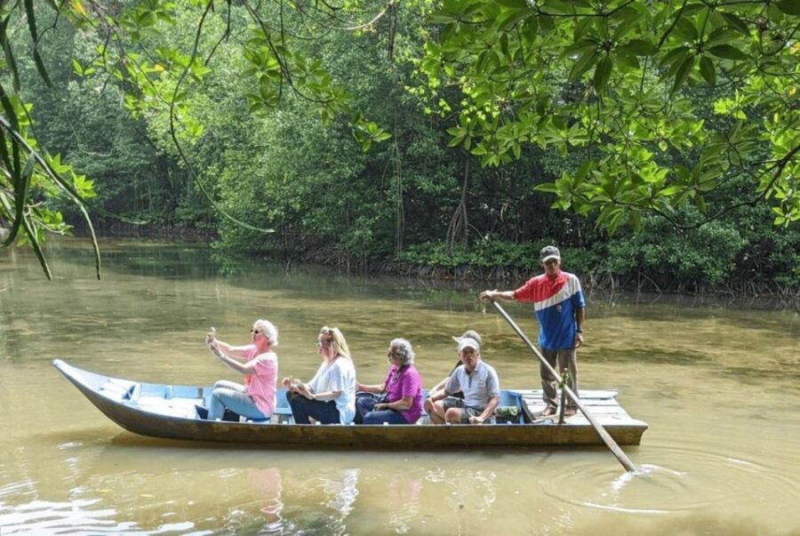 From Ho Chi Minh: Can Gio Mangrove Forest & Monkey Island