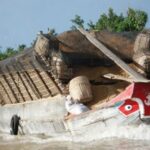 1 from ho chi minh city luxury mekong full day trip From Ho Chi Minh City: Luxury Mekong Full-Day Trip