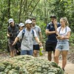 1 from ho chi minh explore cu chi tunnels half day tour 2 From Ho Chi Minh: Explore Cu Chi Tunnels Half Day Tour