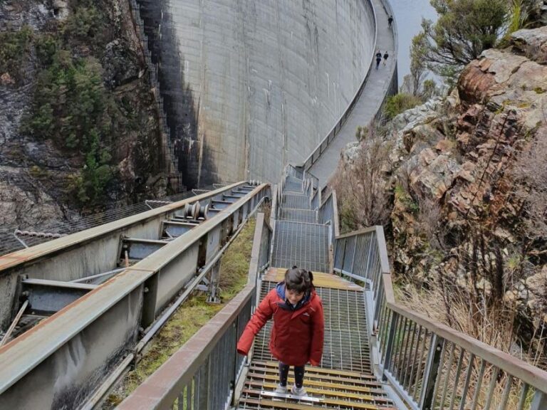 From Hobart: Gordon Dam and Lake Pedder Wilderness Day Tour