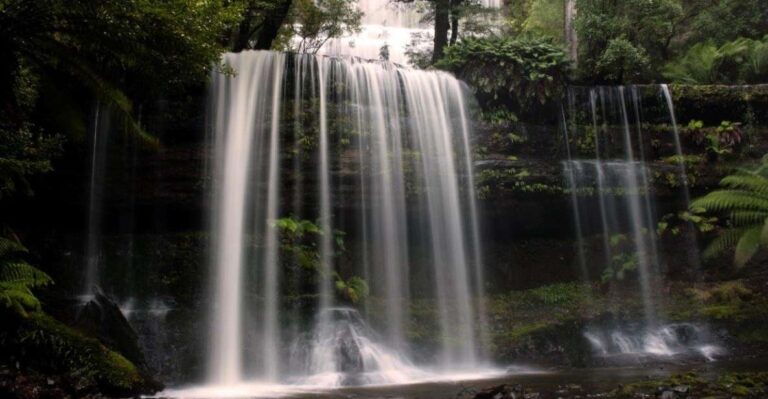 From Hobart: Mt. Field, Mt. Wellington and Wildlife Day Tour