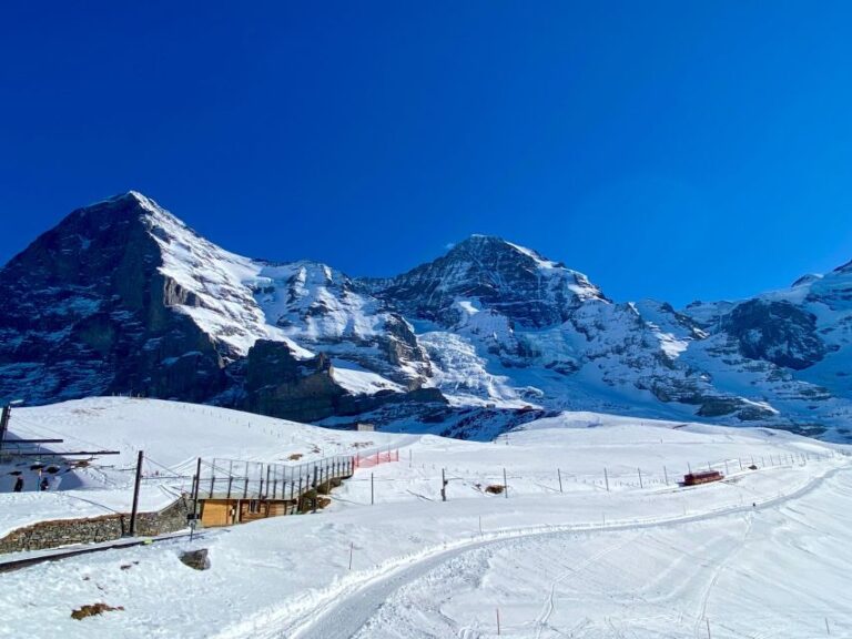 From Interlaken: Jungfrau’s Region Discovery Private Tour