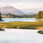 1 from inverness cairngorms national park and whisky tour From Inverness: Cairngorms National Park and Whisky Tour