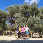 1 from lasithi area richtis gorge experience From Lasithi Area: Richtis Gorge Experience