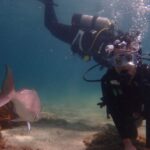 1 from leigh goat island try scuba diving experience From Leigh: Goat Island Try Scuba Diving Experience