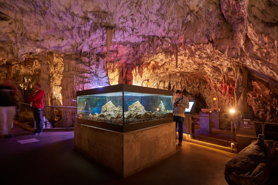 1 from ljubljana lake bled postojna cave with entry tickets 2 From Ljubljana: Lake Bled & Postojna Cave With Entry Tickets