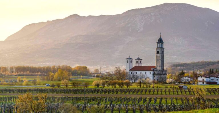 From Ljubljana: Vipava Valley Wine Express Tour