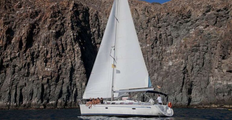 From Los Gigantes: Whale Watching Sailboat Cruise