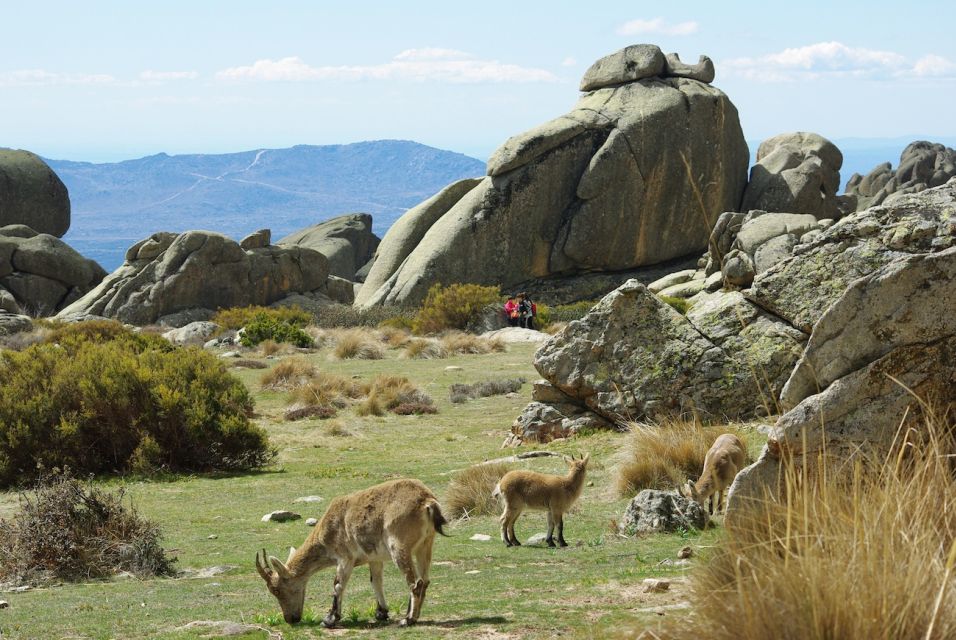 1 from madrid sierra de guadarrama hiking day trip From Madrid: Sierra De Guadarrama Hiking Day Trip