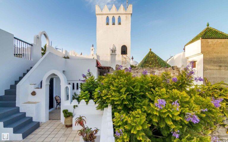 From Malaga or Tarifa: Private Tangier Day Tour