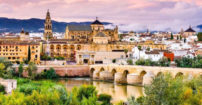 From Malaga: Private Day Trip to Cordoba, Mosque & Cathedral