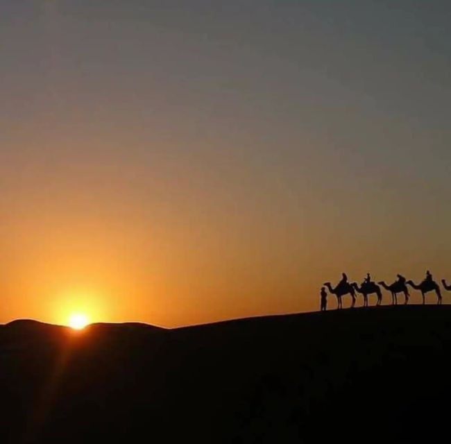 From Marrakesh: Agafay Desert Camel Ride, Sunset & Dinner