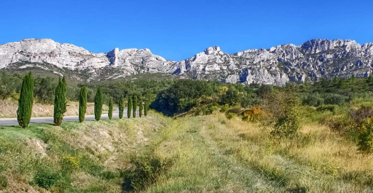 1 from marseille full day les baux de provence wine tour From Marseille: Full-Day Les Baux De Provence Wine Tour