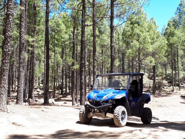 From Maspalomas: Volcanic Landscapes 4-Seater Buggy Tour