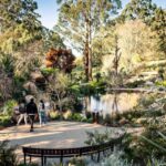 1 from melbourne dandenong ranges private day tour From Melbourne: Dandenong Ranges Private Day Tour
