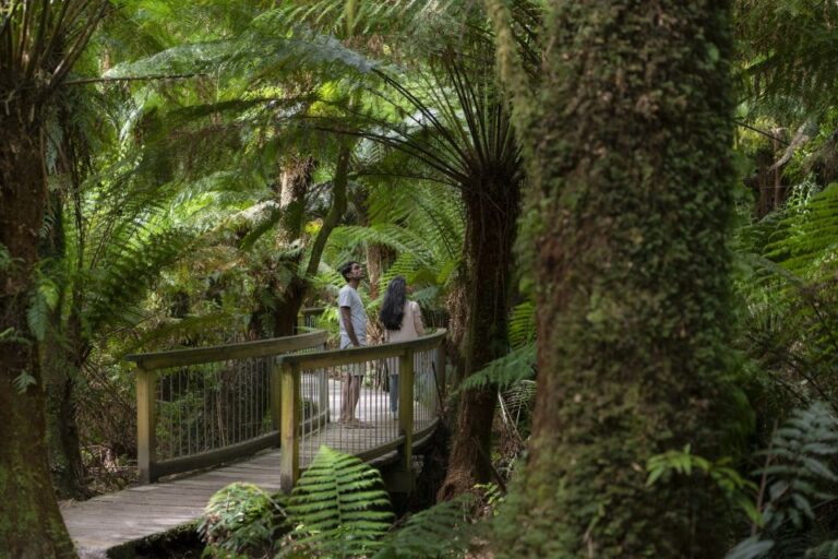 From Melbourne: Great Ocean Road Reverse Eco Tour