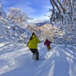 1 from melbourne mt buller day tour From Melbourne: Mt Buller Day Tour