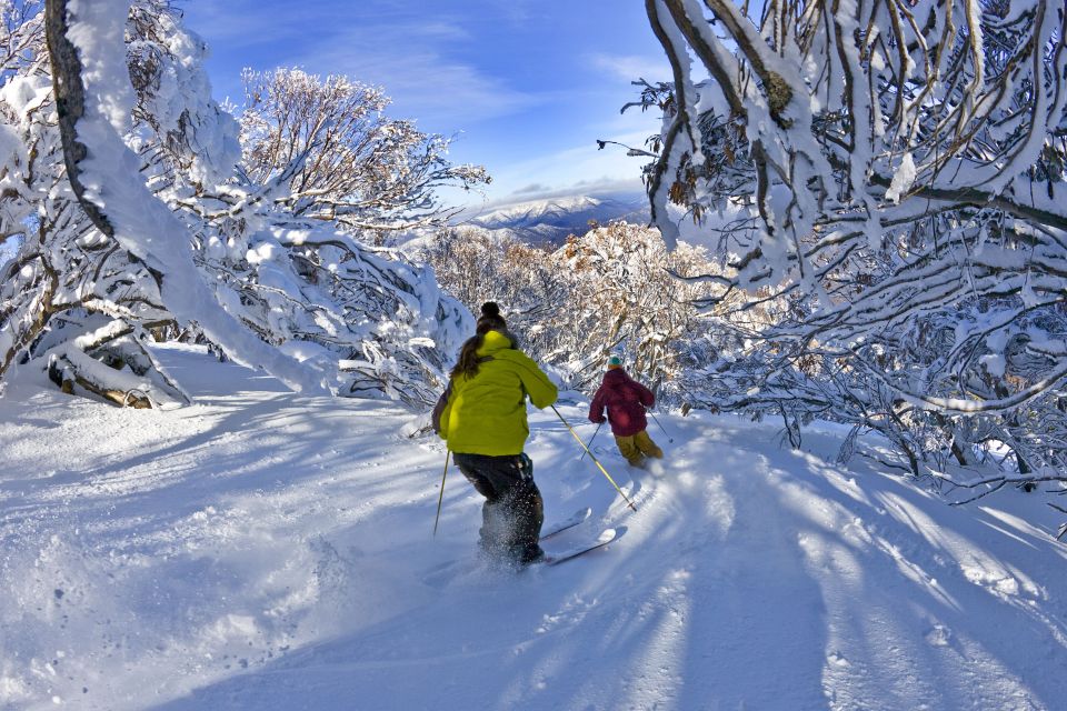 1 from melbourne mt buller day tour From Melbourne: Mt Buller Day Tour