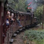 1 from melbourne puffing billy moonlit sanctuary tour From Melbourne: Puffing Billy & Moonlit Sanctuary Tour
