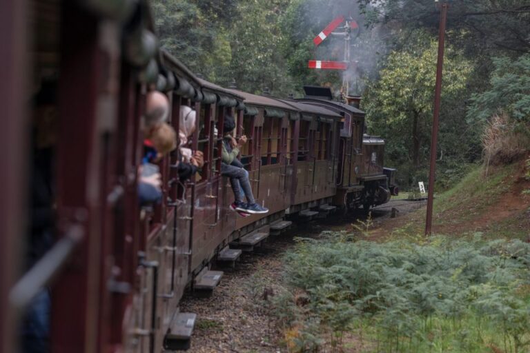 From Melbourne: Puffing Billy & Moonlit Sanctuary Tour